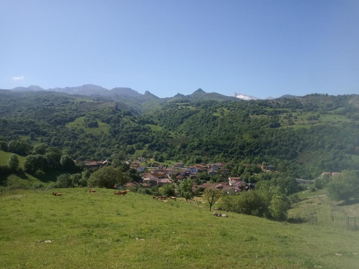 El Campu