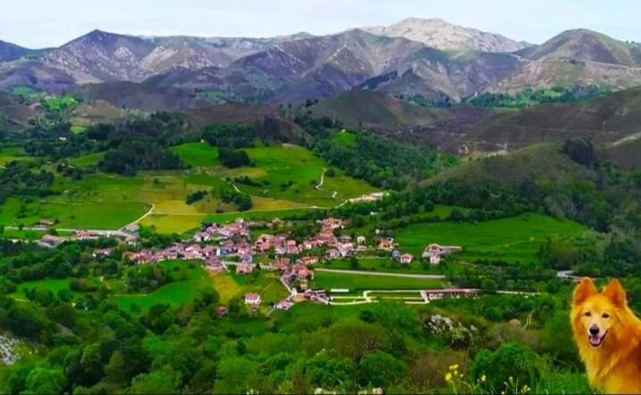El Campu Country house *